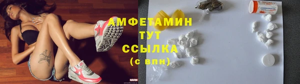 apvp Алзамай