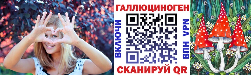 где продают   Сельцо  Галлюциногенные грибы MAGIC MUSHROOMS 